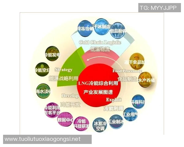 赛后分析:LNG与V5实力对比及未来发展趋势探讨